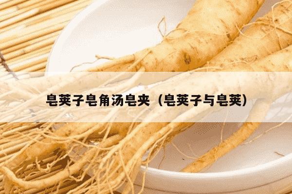 皂荚子皂角汤皂夹（皂荚子与皂荚）