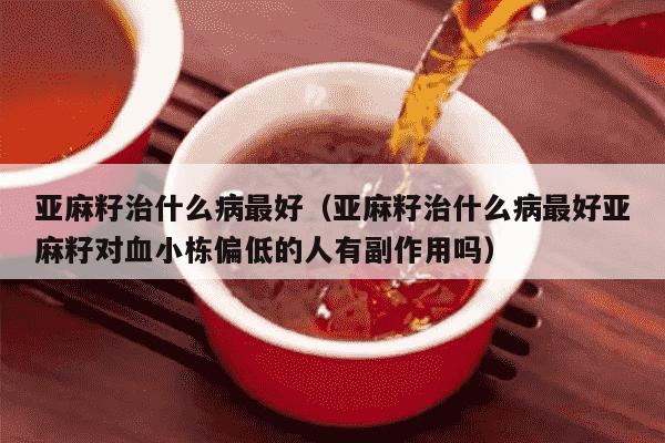 亚麻籽治什么病最好（亚麻籽治什么病最好亚麻籽对血小栋偏低的人有副作用吗）