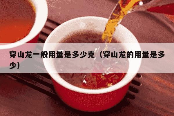 穿山龙一般用量是多少克（穿山龙的用量是多少）