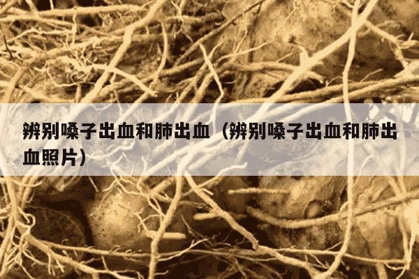 辨别嗓子出血和肺出血（辨别嗓子出血和肺出血照片）