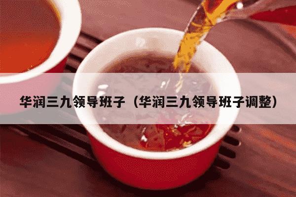 华润三九领导班子（华润三九领导班子调整）