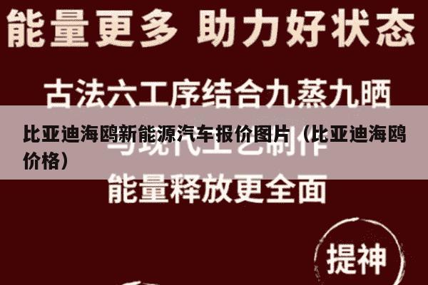比亚迪海鸥新能源汽车报价图片（比亚迪海鸥价格）