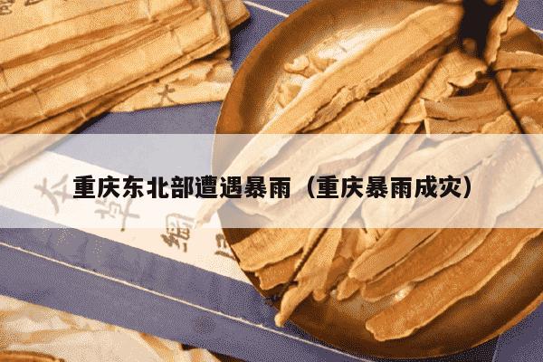重庆东北部遭遇暴雨（重庆暴雨成灾）