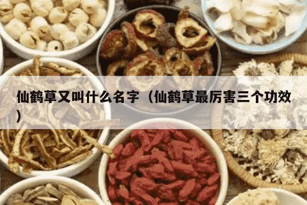 仙鹤草又叫什么名字（仙鹤草最厉害三个功效）