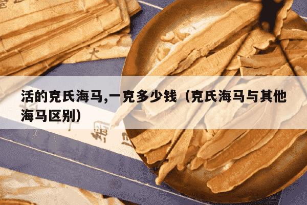 活的克氏海马,一克多少钱（克氏海马与其他海马区别）