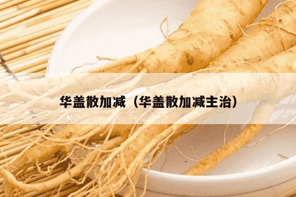 华盖散加减（华盖散加减主治）