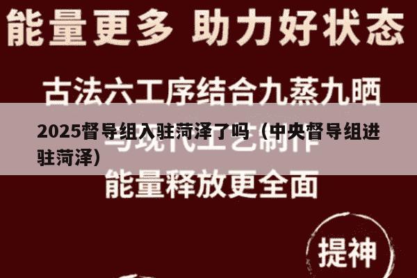2025督导组入驻菏泽了吗（中央督导组进驻菏泽）