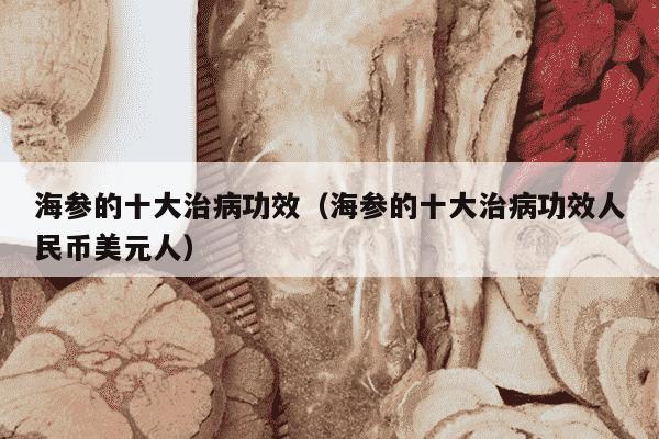 海参的十大治病功效（海参的十大治病功效人民币美元人）