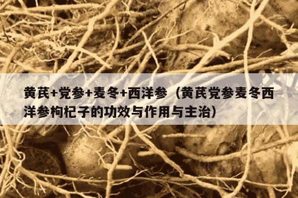黄芪+党参+麦冬+西洋参（黄芪党参麦冬西洋参枸杞子的功效与作用与主治）