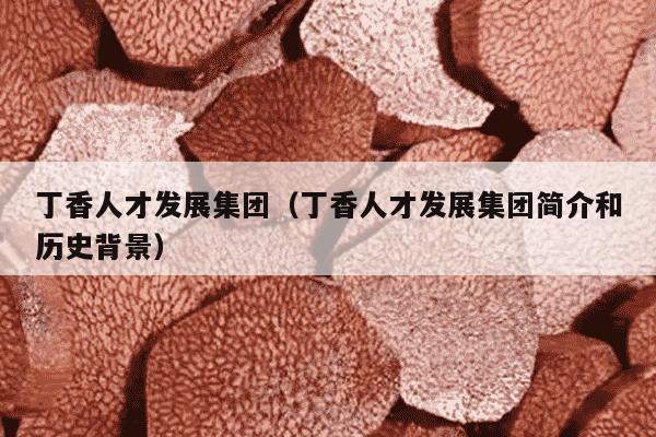 丁香人才发展集团（丁香人才发展集团简介和历史背景）