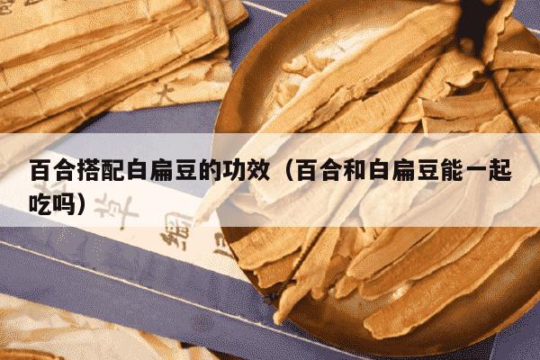 百合搭配白扁豆的功效（百合和白扁豆能一起吃吗）