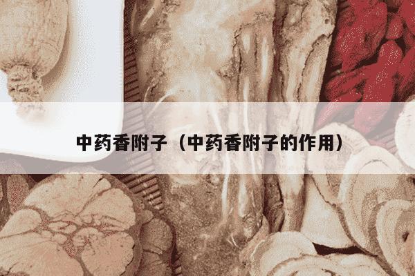 中药香附子（中药香附子的作用）