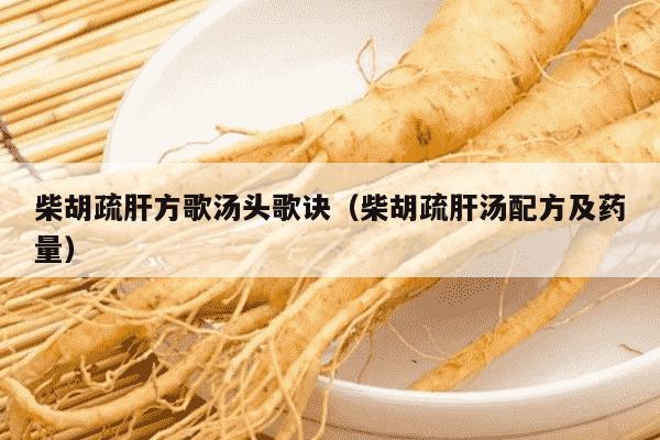 柴胡疏肝方歌汤头歌诀（柴胡疏肝汤配方及药量）