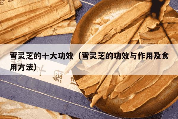雪灵芝的十大功效（雪灵芝的功效与作用及食用方法）