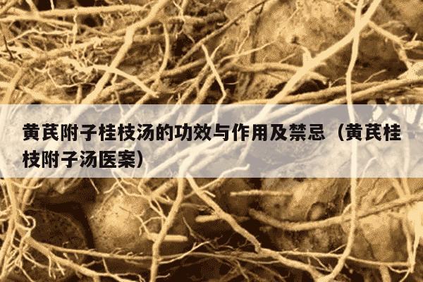 黄芪附子桂枝汤的功效与作用及禁忌（黄芪桂枝附子汤医案）