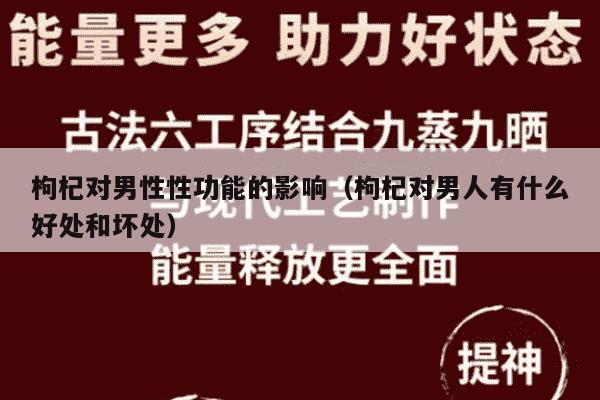 枸杞对男性性功能的影响（枸杞对男人有什么好处和坏处）