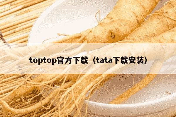 toptop官方下载（tata下载安装）