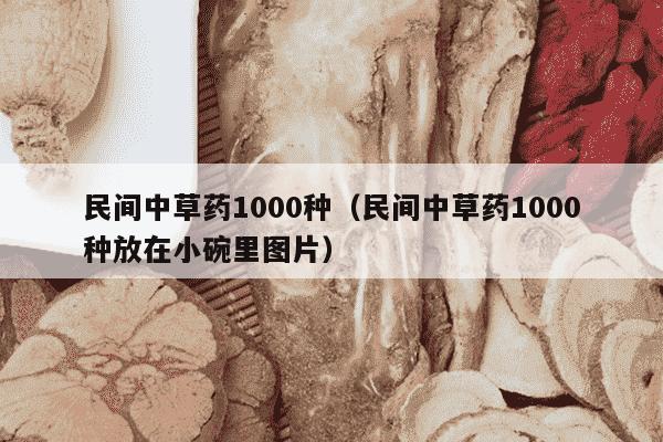 民间中草药1000种（民间中草药1000种放在小碗里图片）