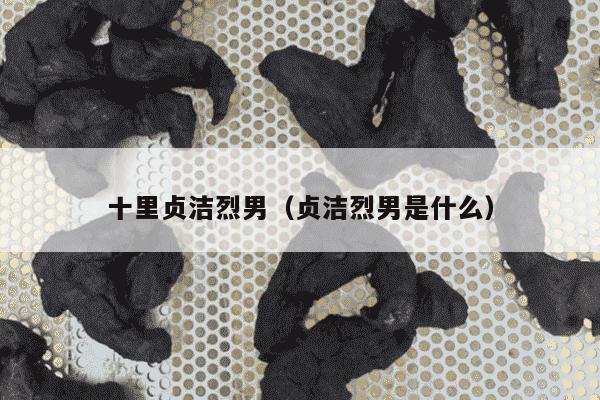 十里贞洁烈男（贞洁烈男是什么）