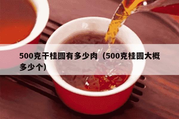 500克干桂圆有多少肉（500克桂圆大概多少个）