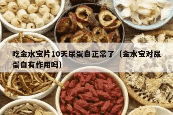 吃金水宝片10天尿蛋白正常了（金水宝对尿蛋白有作用吗）