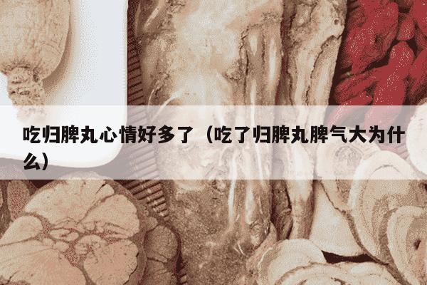 吃归脾丸心情好多了（吃了归脾丸脾气大为什么）