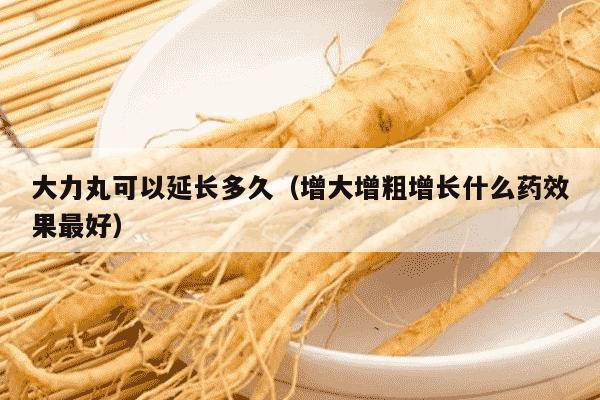 大力丸可以延长多久（增大增粗增长什么药效果最好）