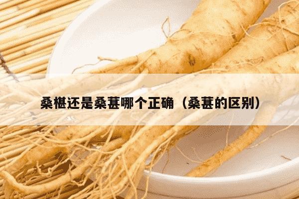 桑椹还是桑葚哪个正确（桑葚的区别）