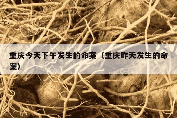 重庆今天下午发生的命案（重庆昨天发生的命案）