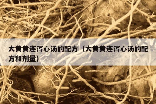 大黄黄连泻心汤的配方（大黄黄连泻心汤的配方和剂量）