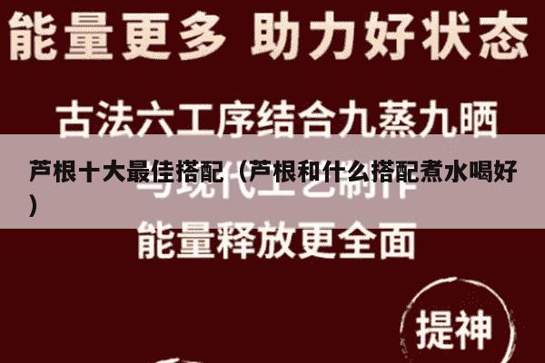 芦根十大最佳搭配（芦根和什么搭配煮水喝好）