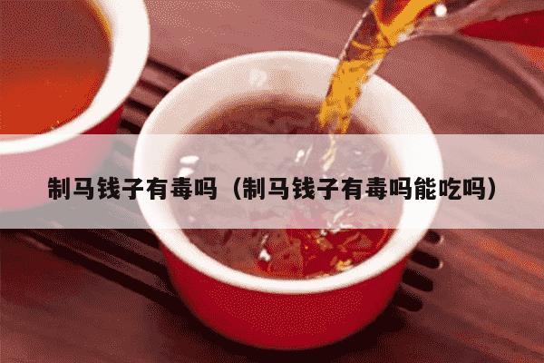 制马钱子有毒吗（制马钱子有毒吗能吃吗）