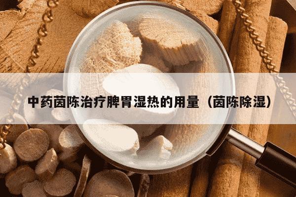 中药茵陈治疗脾胃湿热的用量（茵陈除湿）