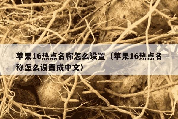 苹果16热点名称怎么设置（苹果16热点名称怎么设置成中文）