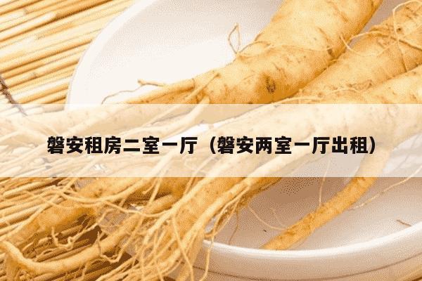 磐安租房二室一厅（磐安两室一厅出租）
