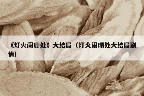 《灯火阑珊处》大结局（灯火阑珊处大结局剧情）