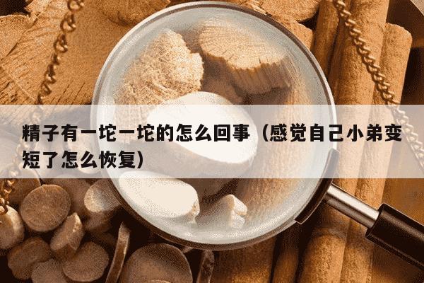 精子有一坨一坨的怎么回事（感觉自己小弟变短了怎么恢复）