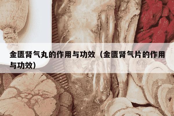 金匮肾气丸的作用与功效（金匮肾气片的作用与功效）