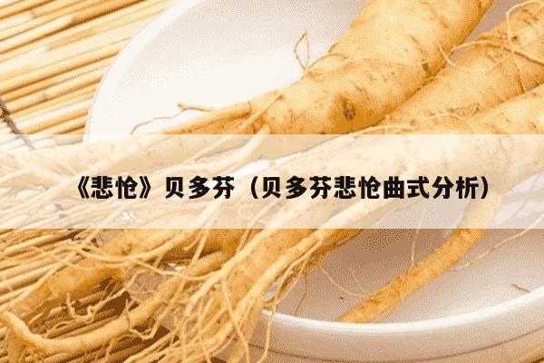《悲怆》贝多芬（贝多芬悲怆曲式分析）