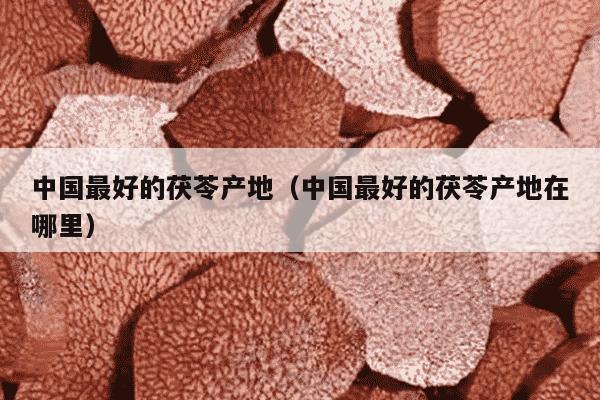 中国最好的茯苓产地（中国最好的茯苓产地在哪里）