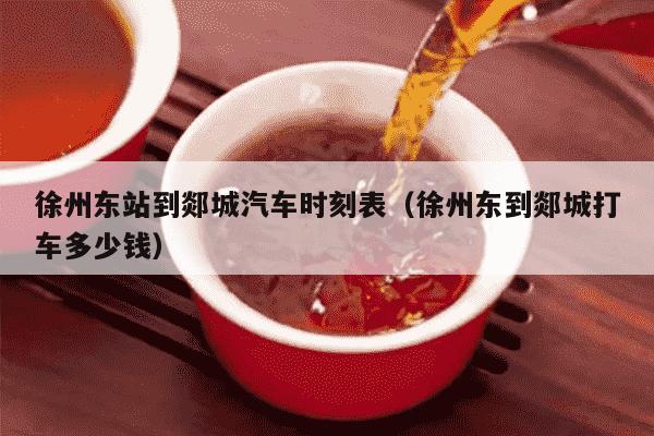 徐州东站到郯城汽车时刻表（徐州东到郯城打车多少钱）