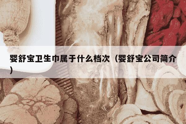 婴舒宝卫生巾属于什么档次（婴舒宝公司简介）
