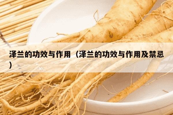 泽兰的功效与作用（泽兰的功效与作用及禁忌）