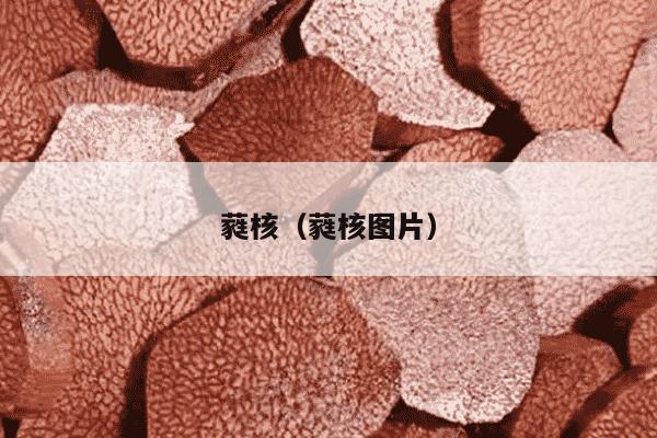 蕤核（蕤核图片）