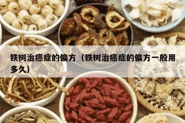 铁树治癌症的偏方（铁树治癌症的偏方一般用多久）