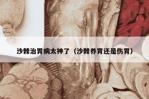 沙棘治胃病太神了（沙棘养胃还是伤胃）