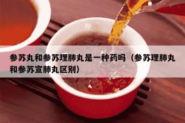 参苏丸和参苏理肺丸是一种药吗（参苏理肺丸和参苏宣肺丸区别）