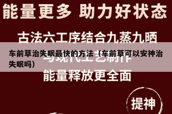 车前草治失眠最快的方法（车前草可以安神治失眠吗）