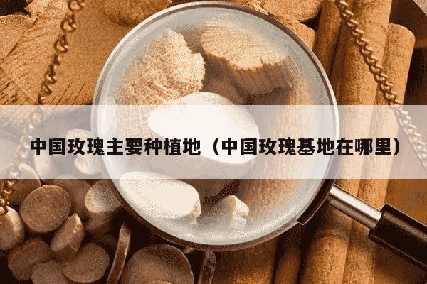 中国玫瑰主要种植地（中国玫瑰基地在哪里）