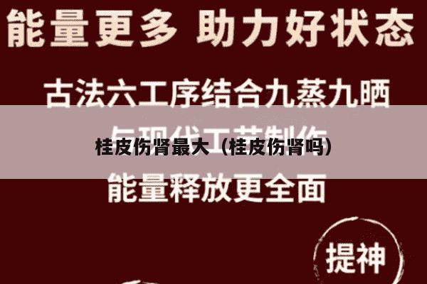桂皮伤肾最大（桂皮伤肾吗）